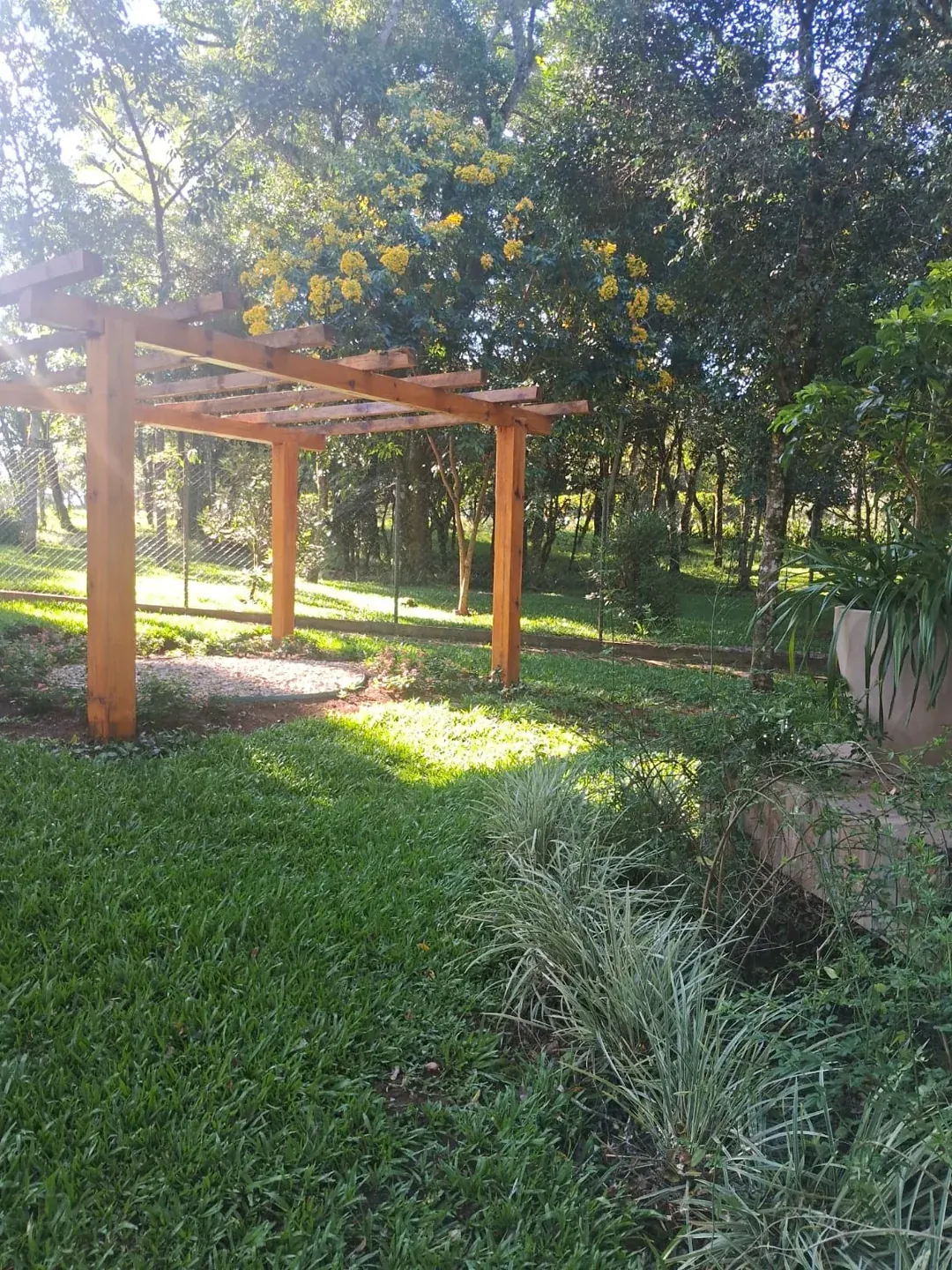 Área verde com gramado e pergolado de madeira