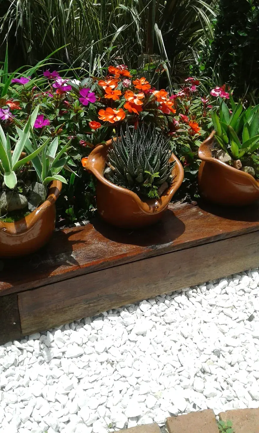 Vasos com flores e plantas ornamentais